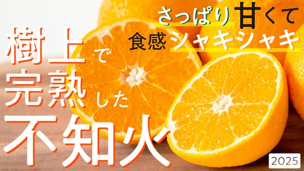 【くだもの大国和歌山紀の川市より】農家がこだわって作る樹上完熟不知火を産地直送！