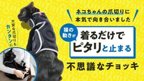 ネコの爪切りに本気で向き合いました。着るだけで「ピタリ」止まる不思議なチョッキ