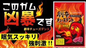 未体験の刺激をあなたに！辛味成分カプサイシン入り 激辛チューズデント