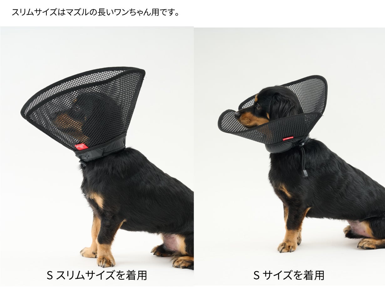 軽やかに使えるメッシュ素材のエリザベスカラー「ちょっとだけだカラー