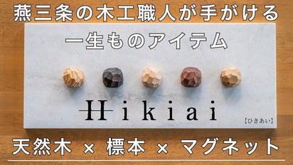 木目・色味・手ざわりの個性を楽しむ。天然木の標本マグネット