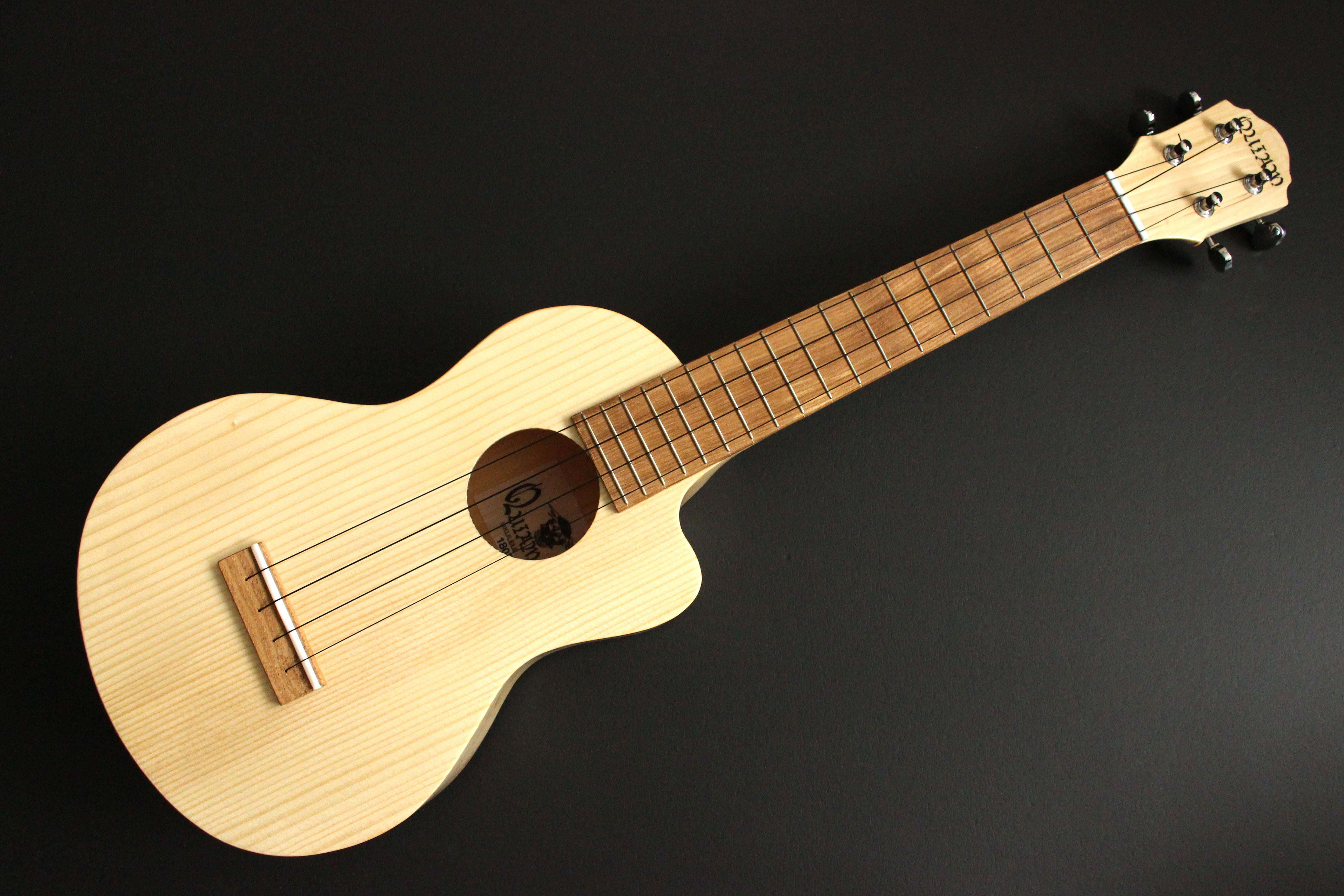 世界に奏でようEzo's Ukulele〜 北海道で生まれた音楽の木の音色