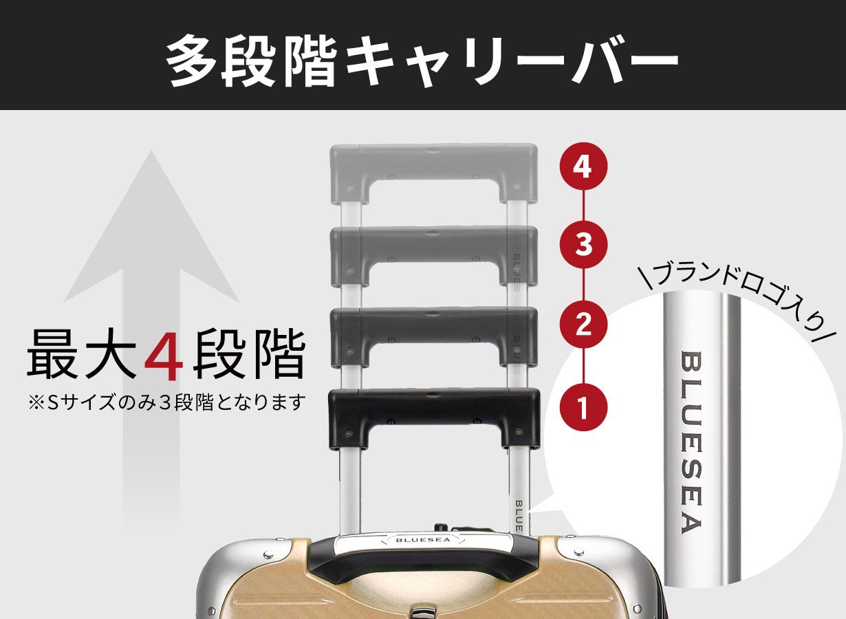 日本未発売 新品 激レア ホットウィール 100台収納 キャリーバッグ