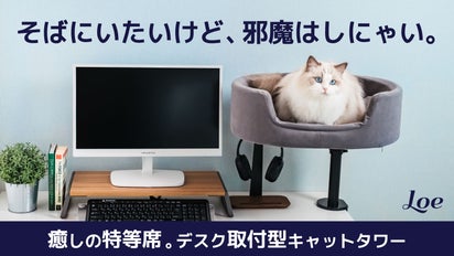 パパママのおそばが特等席♪ 猫専用 LOE のデスクサイドベッド 