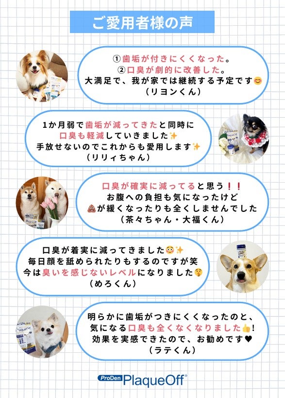 ちゃわわ丸様確認用 【公式通販】