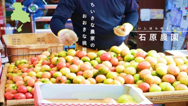 愛され続けて60年!! 石原農園プレゼンツ「姫路ソプラノトマト」