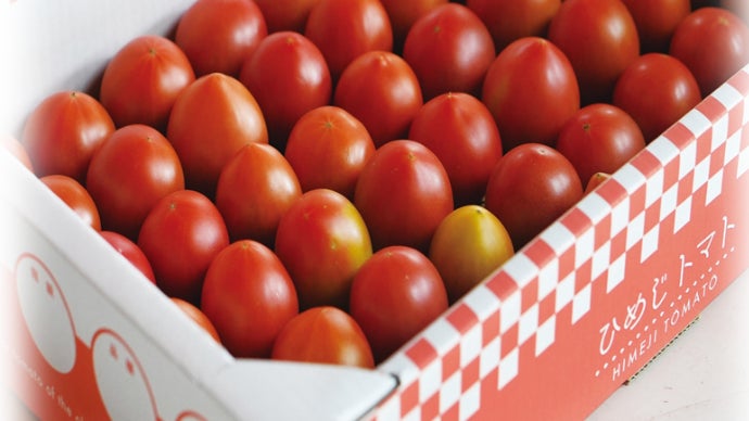 トマト 世界初！「G A B A高蓄積トマト」がサナテックシード（株）から登場