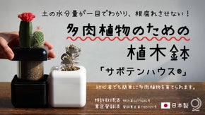 【特許取得】根腐れ防止！多肉植物専用の室内用植木鉢