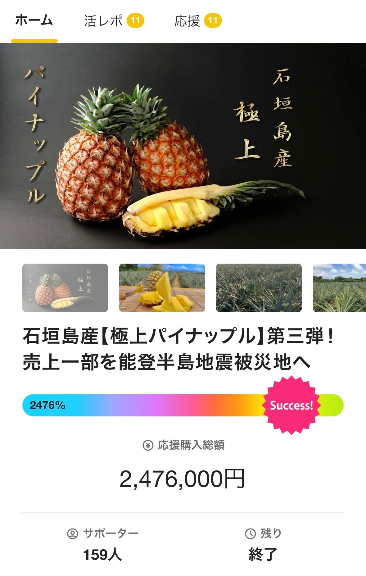 石垣島産【極上パイナップル】第四弾！ホワイトココ先行予約販売