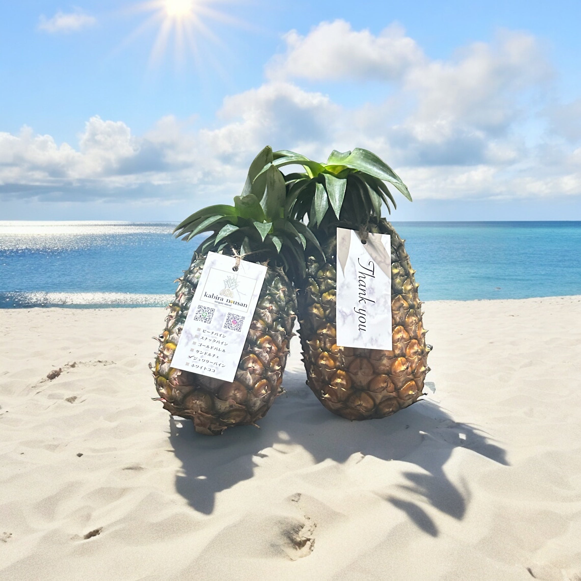 超レア！石垣島産　パイナップル　ホワイトココ　Lサイズ　3.5キロ　(3-4) 超レア！石垣島産 パイナップル ホワイトココ Lサイズ 3.5キロ