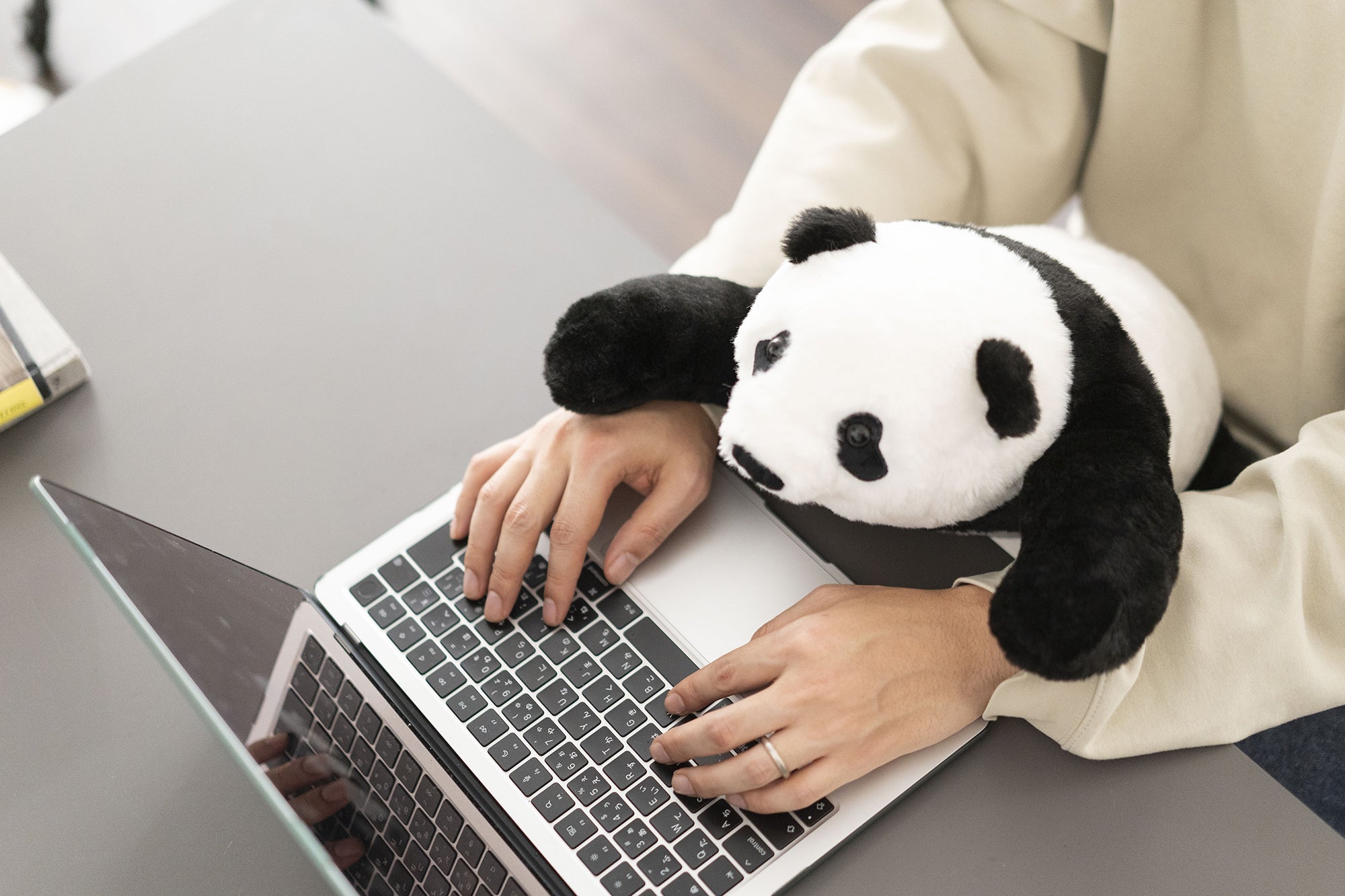 まるで本物！生きた動物のような2kgのぬいぐるみで新感覚の癒し体験を