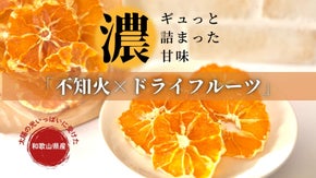 素材そのままの味を生かした不知火のドライフルーツをお届け！