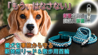 ☆中止中☆新・首輪・リードのオーダーについて 訊ね