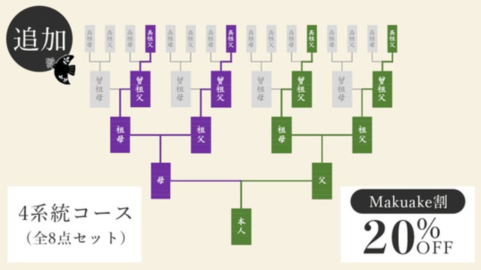 まだ知らない「ご先祖」、まだ見ぬ「ゆかりの地」にめぐり会える家系図