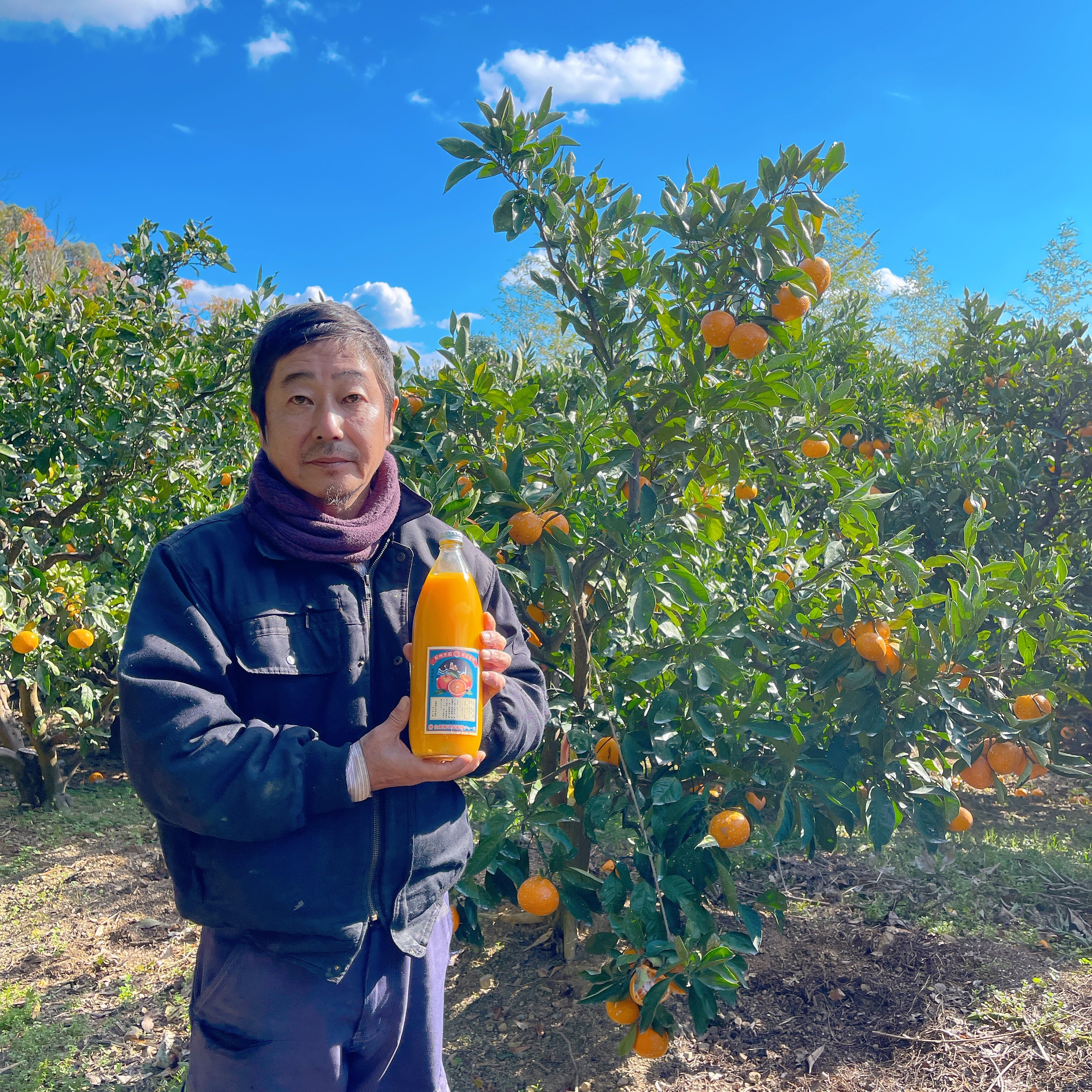 追加検討中 みかんさん専用 みかんの王様「宮川早生」栽培一筋60年の農家がつくる至高の頑固みかん