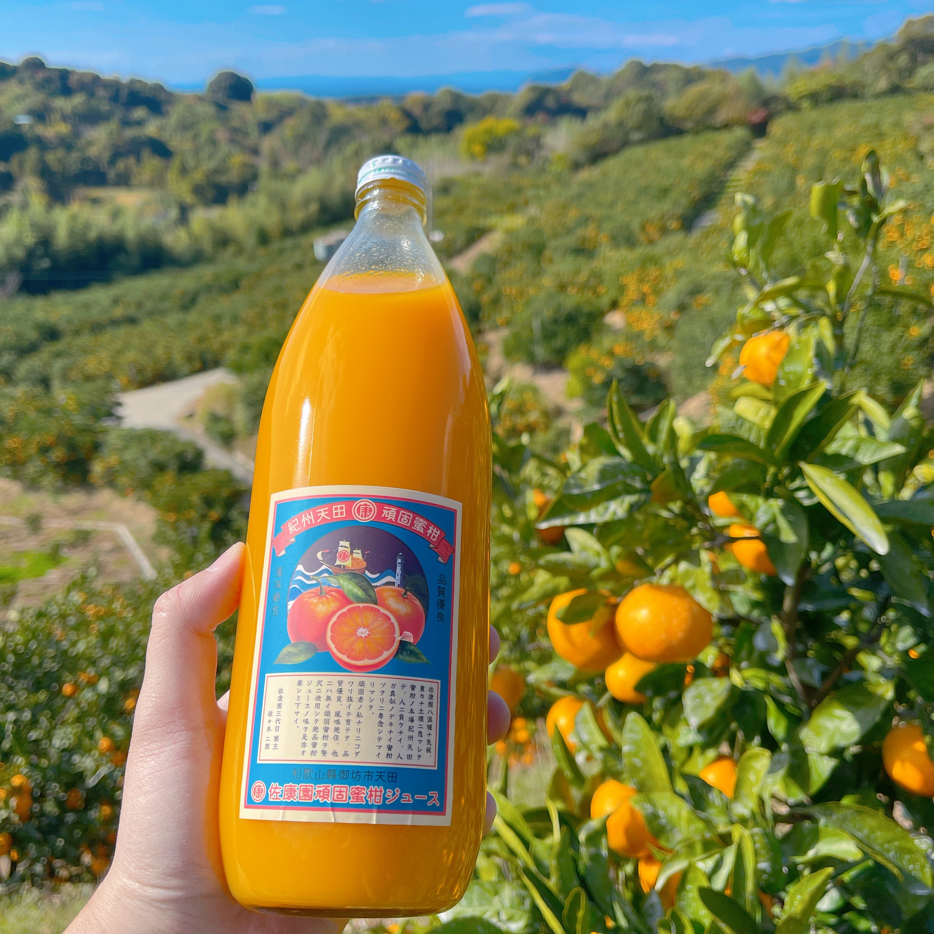 みかんの王様「宮川早生」栽培一筋60年の農家がつくる至高の頑固みかん