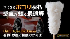 花粉や黄砂から守る！静電気とホコリを寄せ付けないオーストリッチフェザーダスター