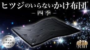 【2秒で寝落ち？！】ついに出た！ふわっと包み込みオールシーズン気持ちいい極上体験