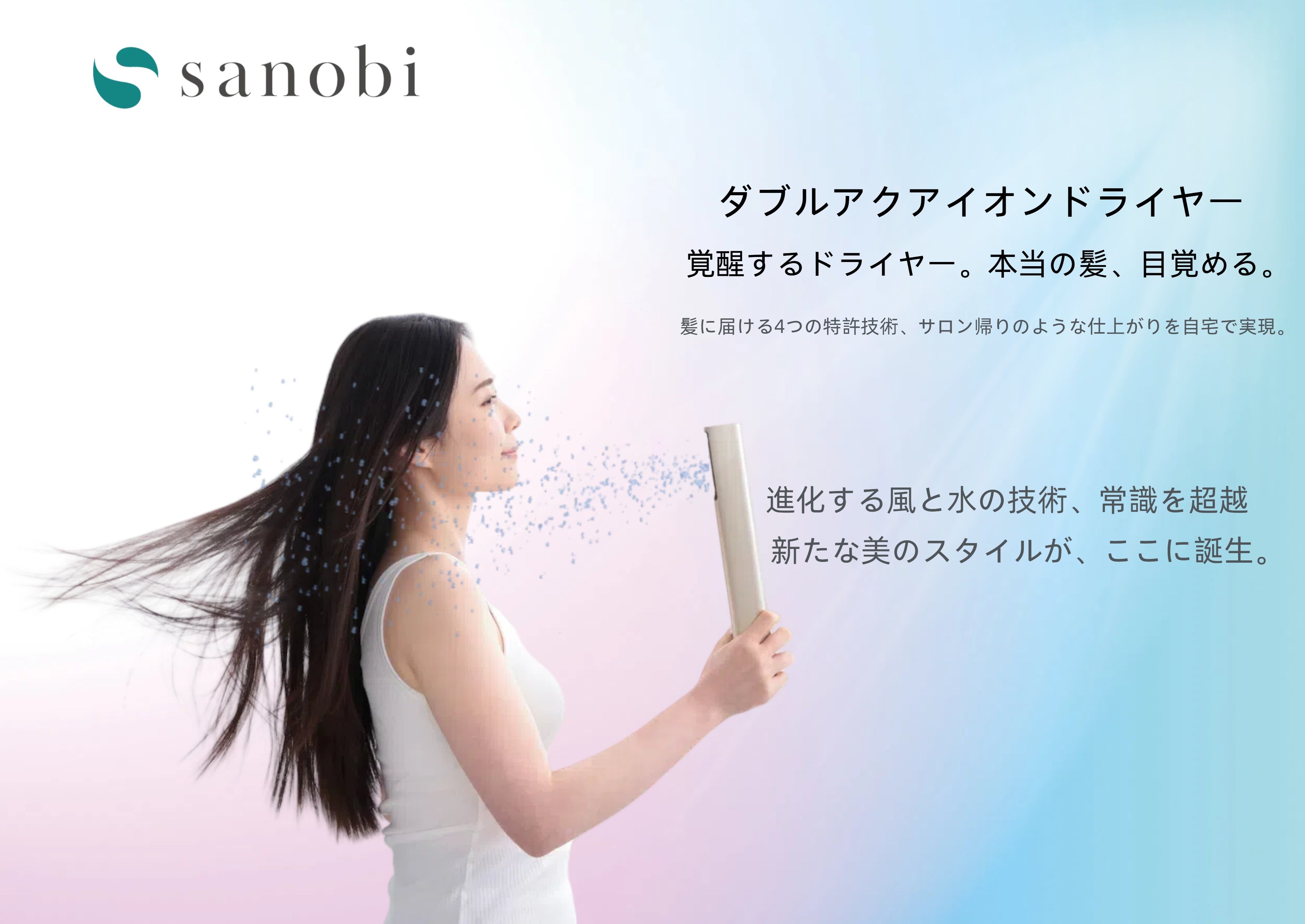 sanobi(サノビ) BL-HD1-SB シャドウブラック ダブルアクアイオン 