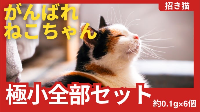 縁起物の王者決定戦、その勝負「純金」でつけませんか？金運UP純金