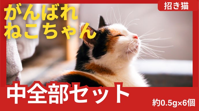 縁起物の王者決定戦、その勝負「純金」でつけませんか？金運UP純金