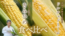 【産地直送】とうもろこし作りのプロが極めた「幻」の２品種を食べ比べてみませんか？