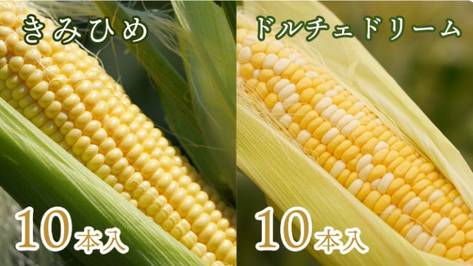 産地直送】とうもろこし作りのプロが極めた「幻」の2品種を食べ比べて