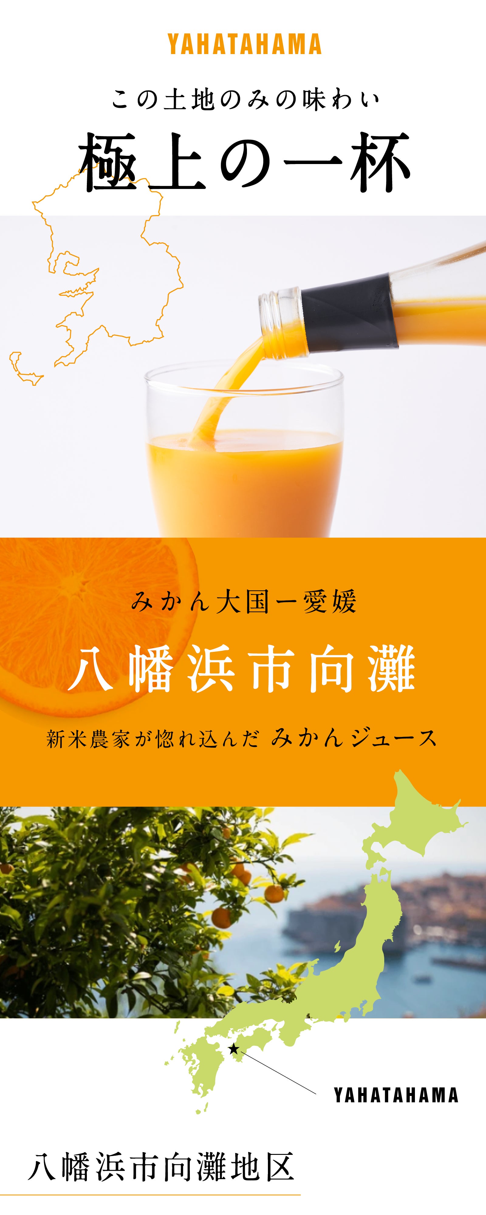 みかん農家が惚れ込んで、人生をかけた八幡浜みかんストレートジュース