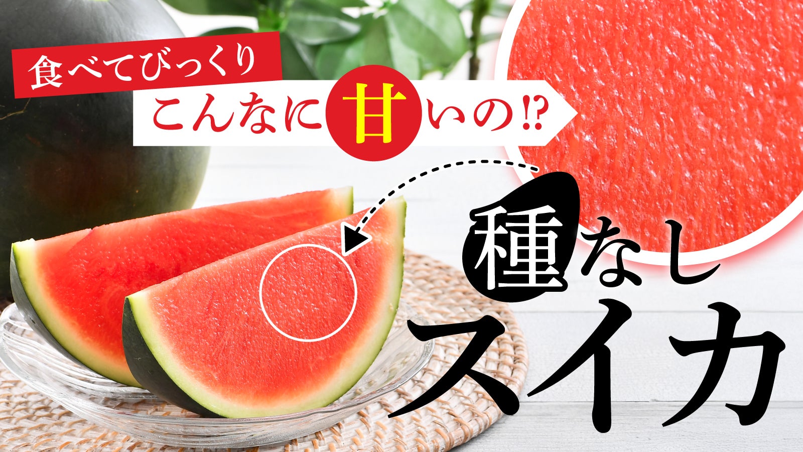 徹底的に【糖度12度以上】にこだわりました。スイカ