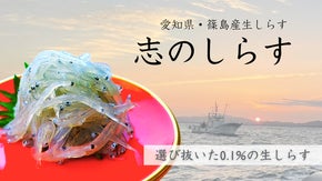 愛知県・篠島産生しらす　"志（し）のしらす"　初めての一般販売