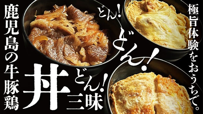 鹿児島の恵みがぎゅっ！】本格手作り（急速冷凍）牛丼・親子丼・カツ丼