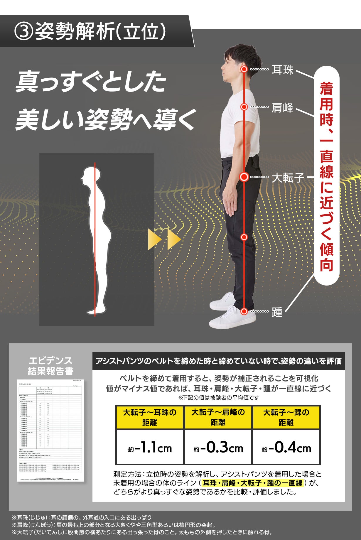 ◾️貴重品◾️姿勢の基本は骨盤から骨盤プログラム 楽天市場】訳あり アウトレット B 骨盤 サポートチェア セシルシェイプ