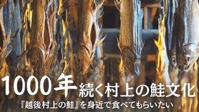 【1000年続く村上の鮭文化】『村上の鮭』を身近で食べてもらいたい