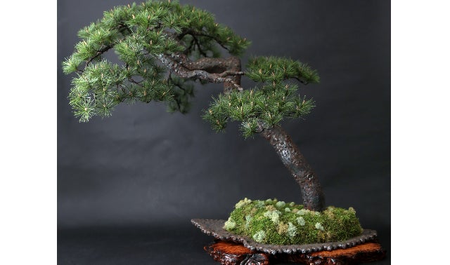 無機質な鉄で自然の生命力を表現し、本物ではあり得ない迫力ある鉄筋