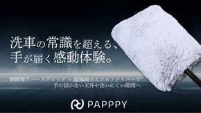 届かなかった場所に手が届く！圧倒的リーチとしなやかなラバースティックで極上洗車