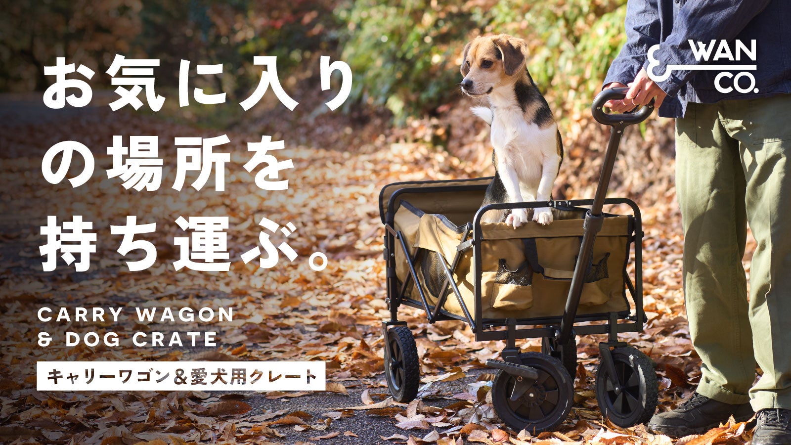 モノだけじゃない！愛犬がくつろげる場所としてのキャリーワゴン