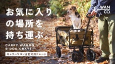 モノだけじゃない！愛犬がくつろげる場所としてのキャリーワゴン＆クレート