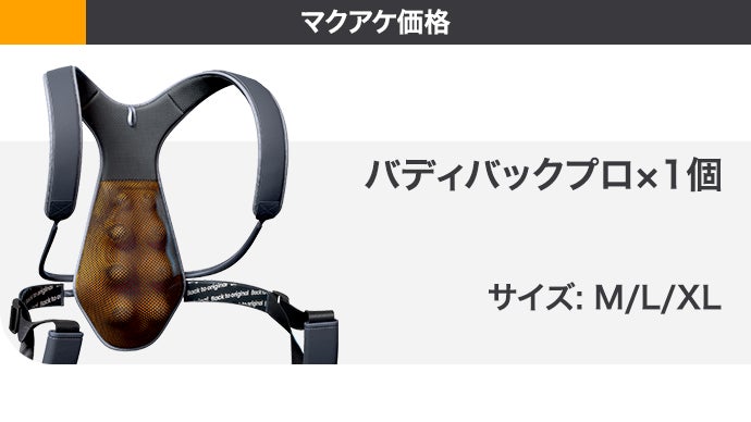 毎日5分で美姿勢をサポート！本格ストレッチツール【BUDDYBACK PRO