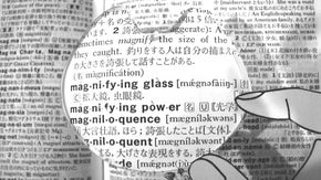 【伊葉ルーペ】ネコで見る新感覚　顔が大きいオス猫