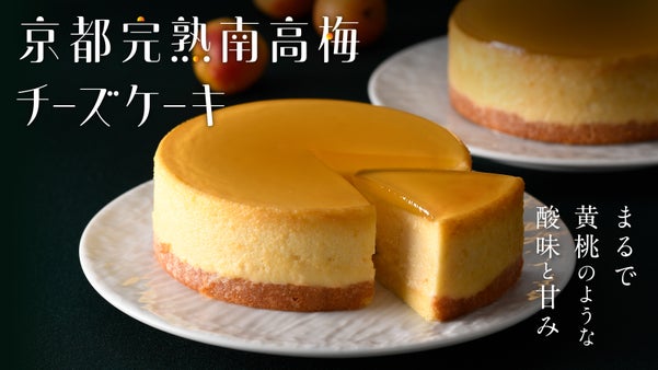シロップで煮た完熟梅の果肉ととろり食感のジュレ。ソラアオ至高の梅チーズケーキ
