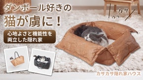 【毛玉の悩み解決】隠れる猫の習性と楽しさ！ 温度と汚染管理が楽なカサ隠れハウス