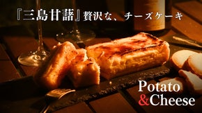 思い出から生まれた『和洋折衷の味』キャンプでパティシエが作る絶品チーズケーキ！