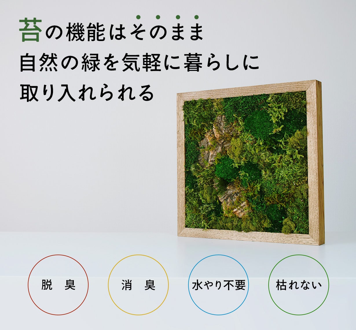 飾るだけ」“空気が変わる ” 苔 インテリア【呼吸するアートKOKE】第二