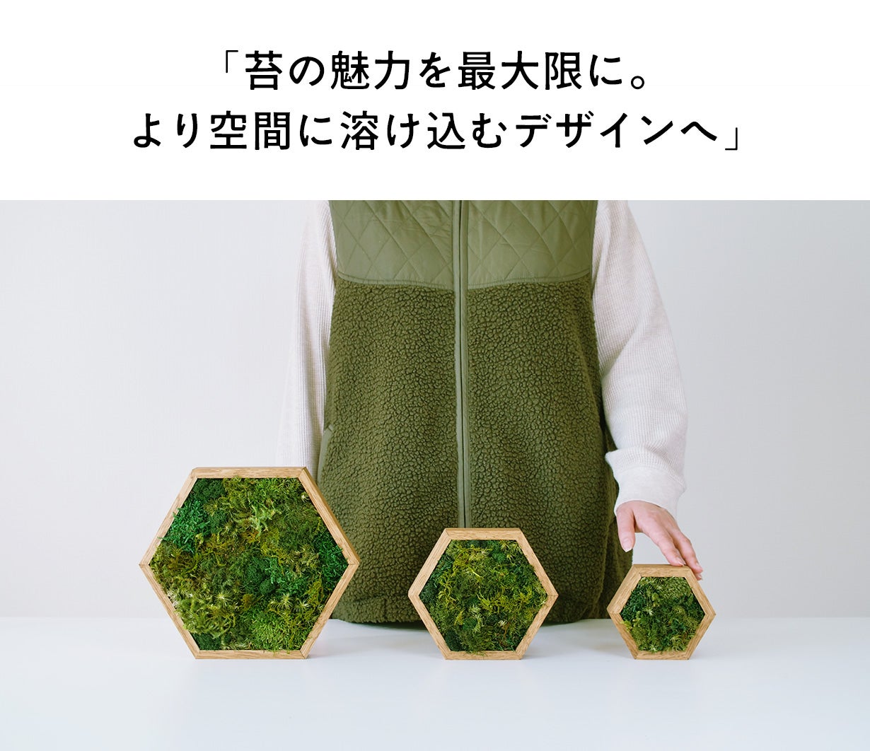 飾るだけ」“空気が変わる ” 苔 インテリア【呼吸するアートKOKE】第二