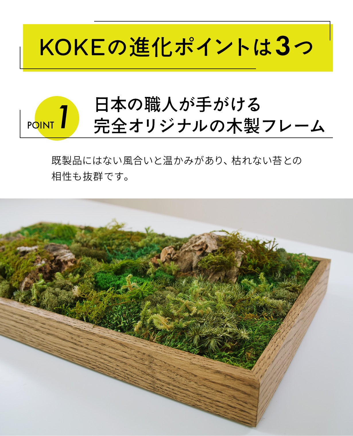 飾るだけ」“空気が変わる ” 苔 インテリア【呼吸するアートKOKE】第二