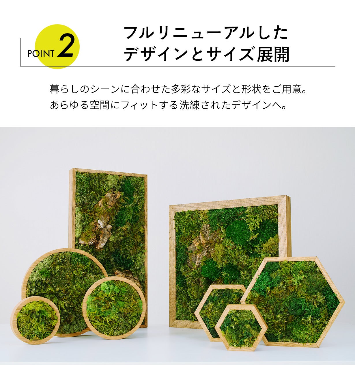 飾るだけ」“空気が変わる ” 苔 インテリア【呼吸するアートKOKE】第二