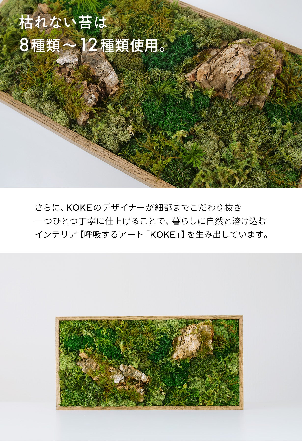 飾るだけ」“空気が変わる ” 苔 インテリア【呼吸するアートKOKE】第二