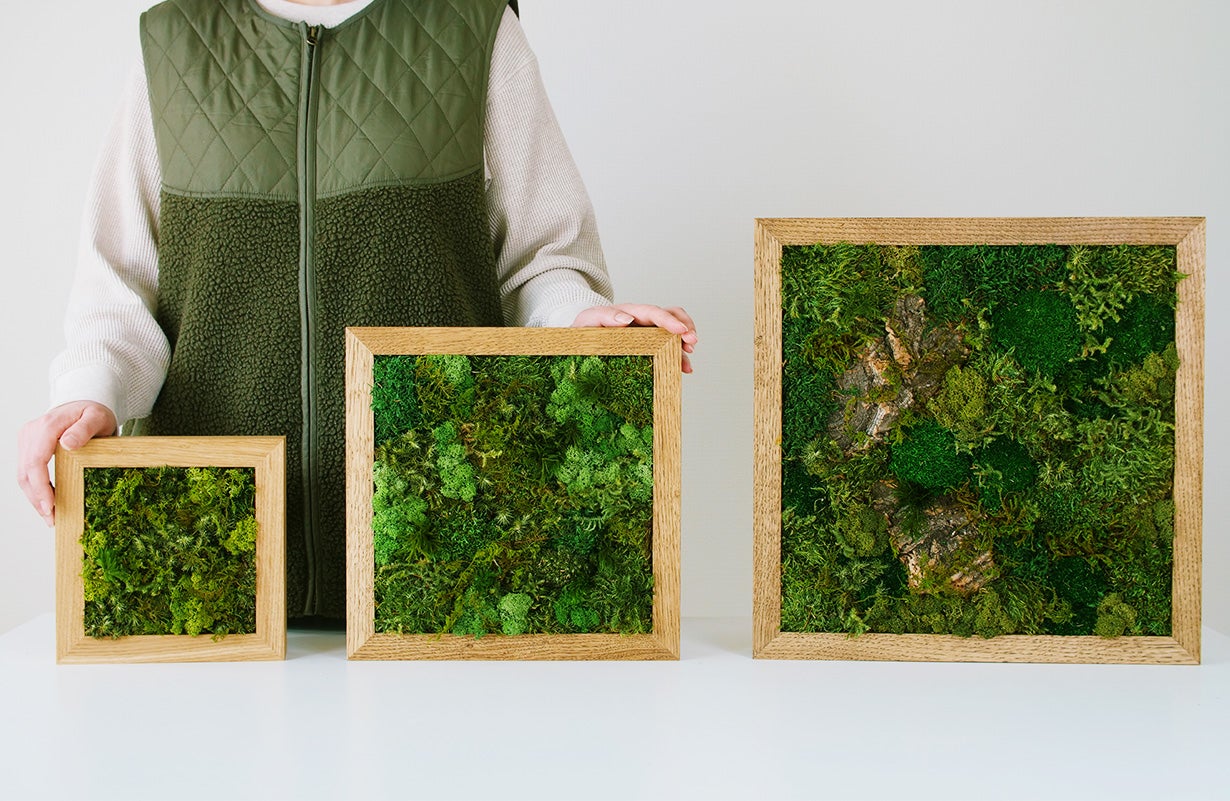 飾るだけ」“空気が変わる ” 苔 インテリア【呼吸するアートKOKE