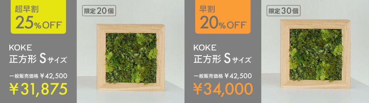 飾るだけ」“空気が変わる ” 苔 インテリア【呼吸するアートKOKE】第二