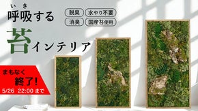 「飾るだけ」“空気が変わる ” 苔 インテリア【呼吸するアートKOKE】第二弾！